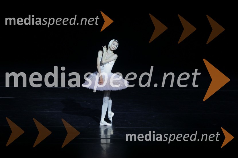  Svetlana Zaharova , baletna plesalkaGala večer svetovnih baletnih zvezd na Ljubljana Festivalu