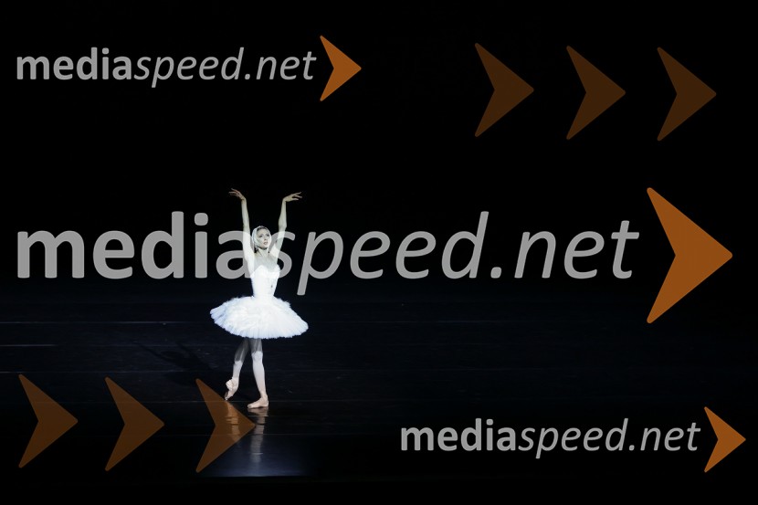  Svetlana Zaharova , baletna plesalkaGala večer svetovnih baletnih zvezd na Ljubljana Festivalu