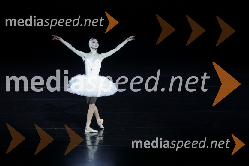  Svetlana Zaharova , baletna plesalkaGala večer svetovnih baletnih zvezd na Ljubljana Festivalu