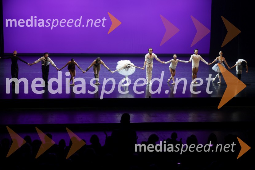 Gala večer svetovnih baletnih zvezd na Ljubljana Festivalu