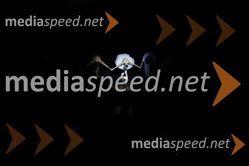 Gala večer svetovnih baletnih zvezd na Ljubljana Festivalu