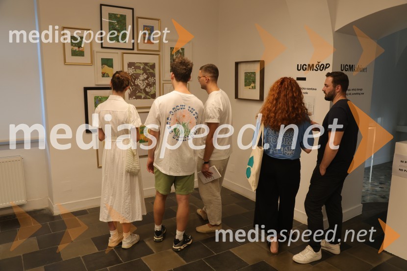 Odprtje nove razstave ilustratorke Alje Horvat