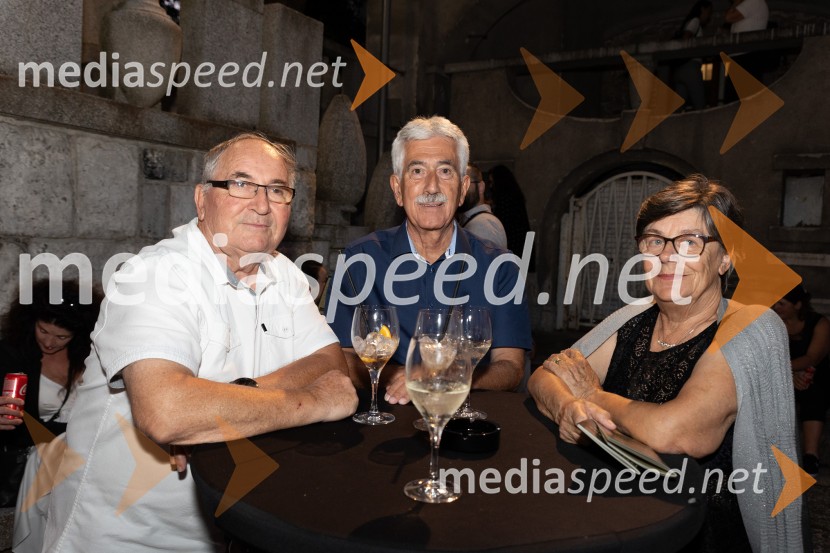  ... ;  Rajko Kotnik, bivši poslovni direktor Cankarjevega doma, dosedanji predsednik Lions kluba Ljubljana Rožnik;  ... Oto Pestner & Moje dame na 72. Ljubljana Festivalu