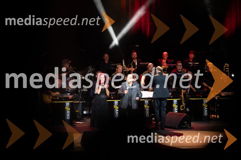  Irena Vrčkovnik, pevka;  Oto Pestner, pevecOto Pestner & Moje dame na 72. Ljubljana Festivalu