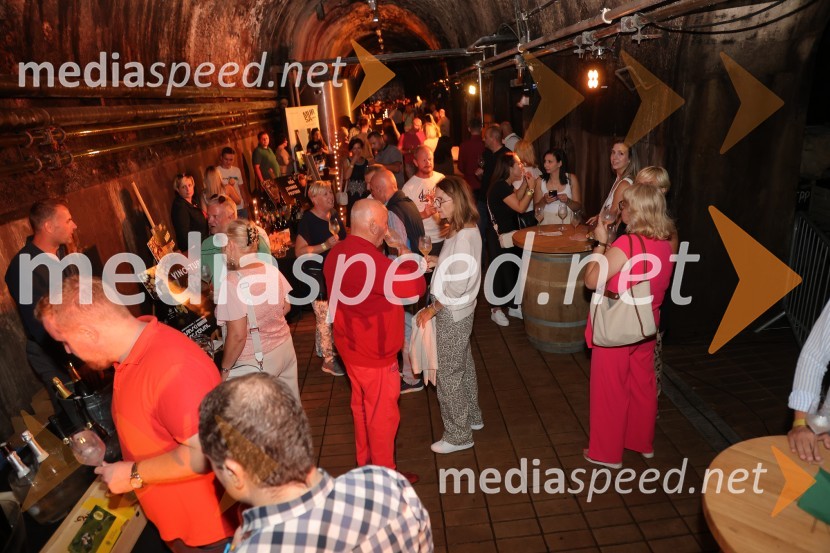 Prvi podzemni vinski festival v Vinagovi kleti