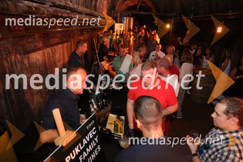 Prvi podzemni vinski festival v Vinagovi kleti
