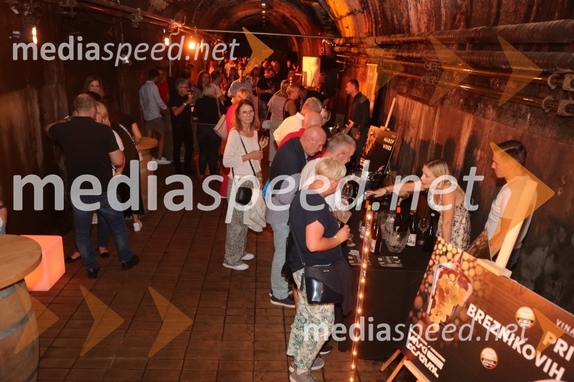 Prvi podzemni vinski festival v Vinagovi kleti