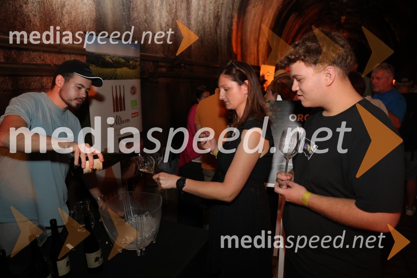 Prvi podzemni vinski festival v Vinagovi kleti