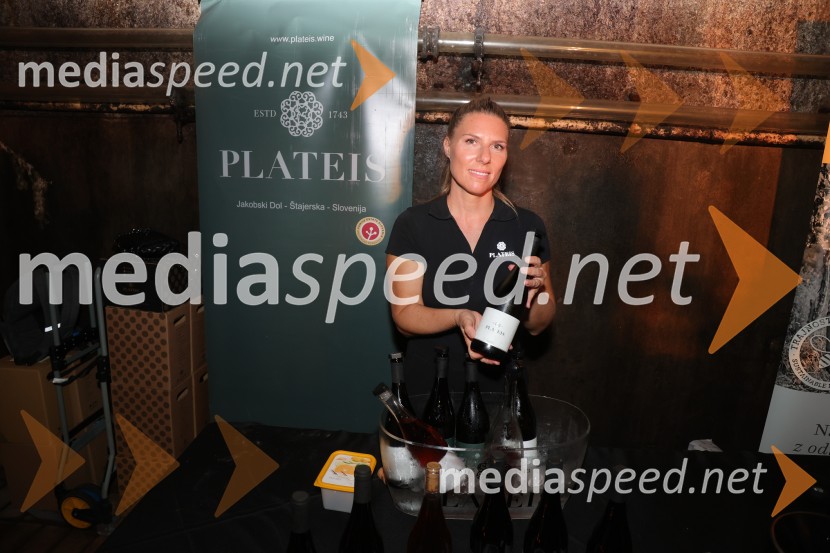 Prvi podzemni vinski festival v Vinagovi kleti