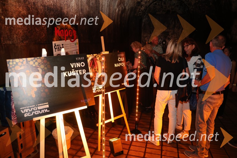 Prvi podzemni vinski festival v Vinagovi kleti