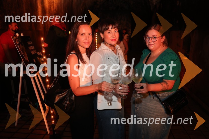 Prvi podzemni vinski festival v Vinagovi kleti