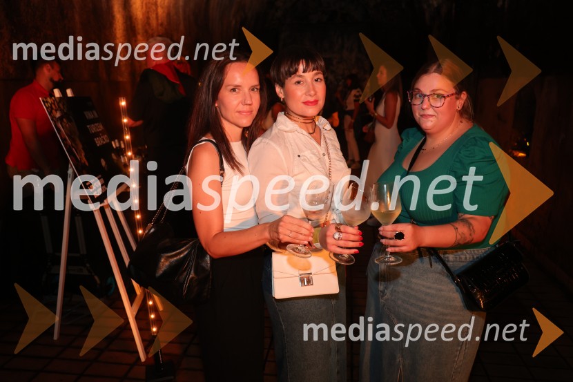 Prvi podzemni vinski festival v Vinagovi kleti