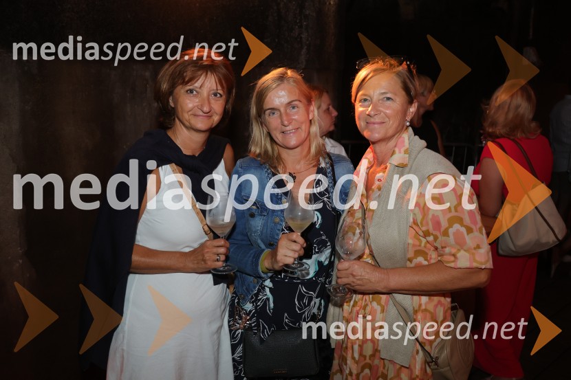 Prvi podzemni vinski festival v Vinagovi kleti