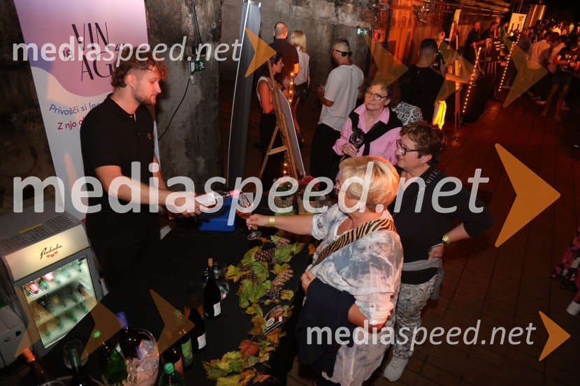 Prvi podzemni vinski festival v Vinagovi kleti