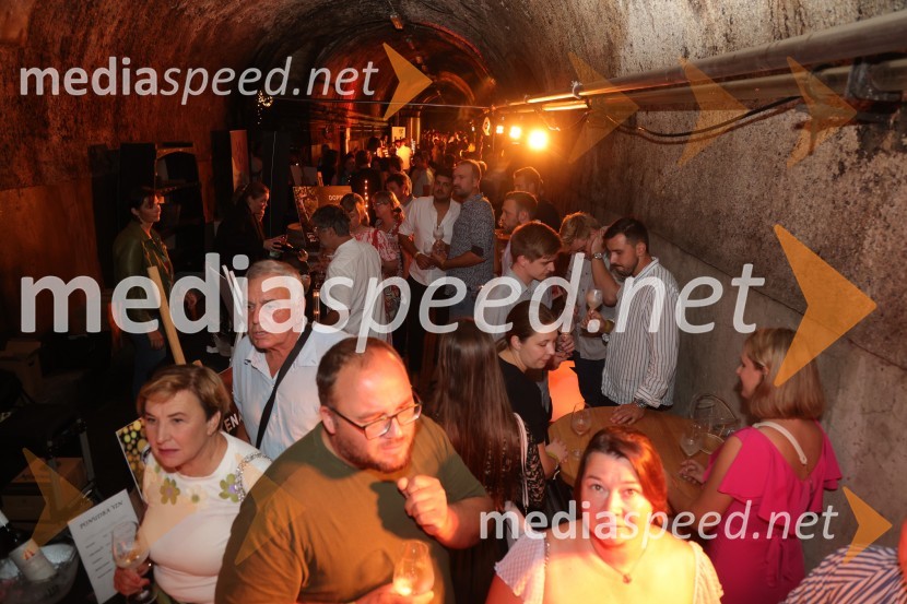 Prvi podzemni vinski festival v Vinagovi kleti