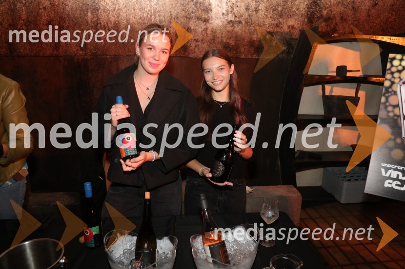 Prvi podzemni vinski festival v Vinagovi kleti