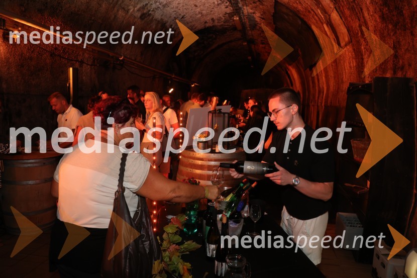Prvi podzemni vinski festival v Vinagovi kleti