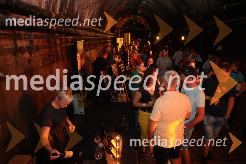 Prvi podzemni vinski festival v Vinagovi kleti