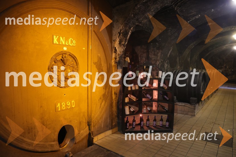 Prvi podzemni vinski festival v Vinagovi kleti