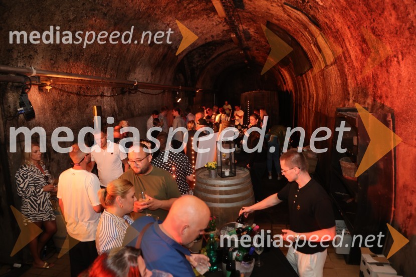 Prvi podzemni vinski festival v Vinagovi kleti