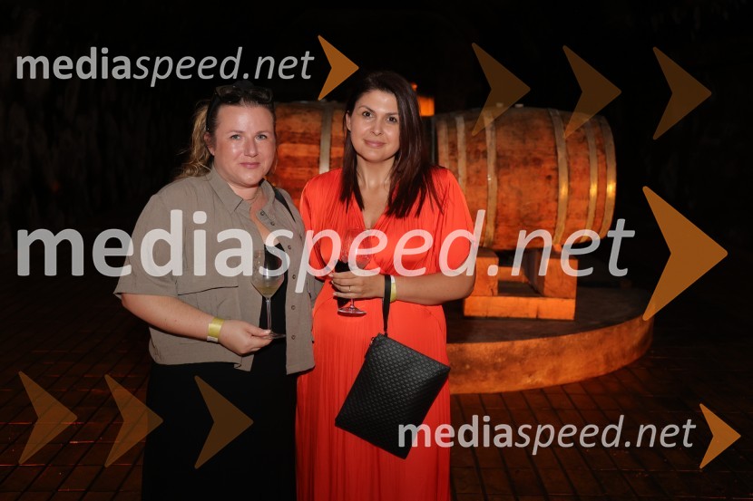 Prvi podzemni vinski festival v Vinagovi kleti