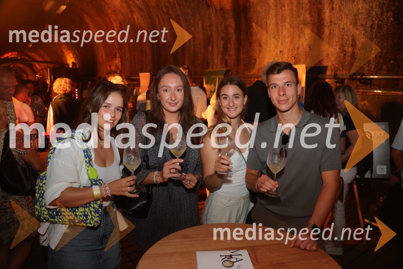 Prvi podzemni vinski festival v Vinagovi kleti