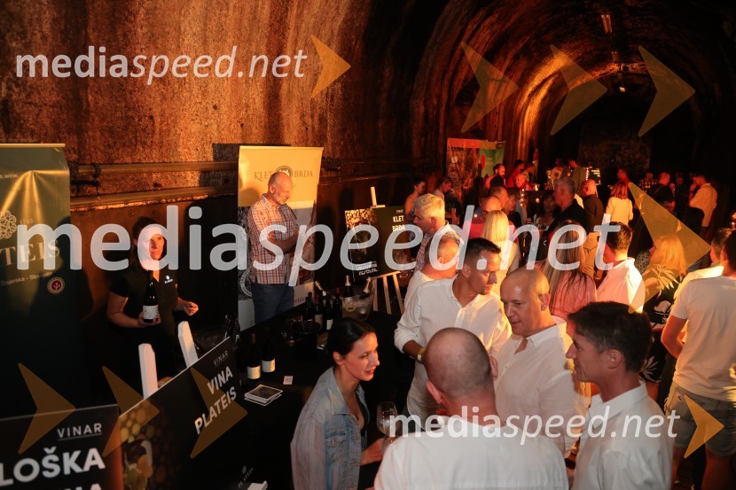 Prvi podzemni vinski festival v Vinagovi kleti