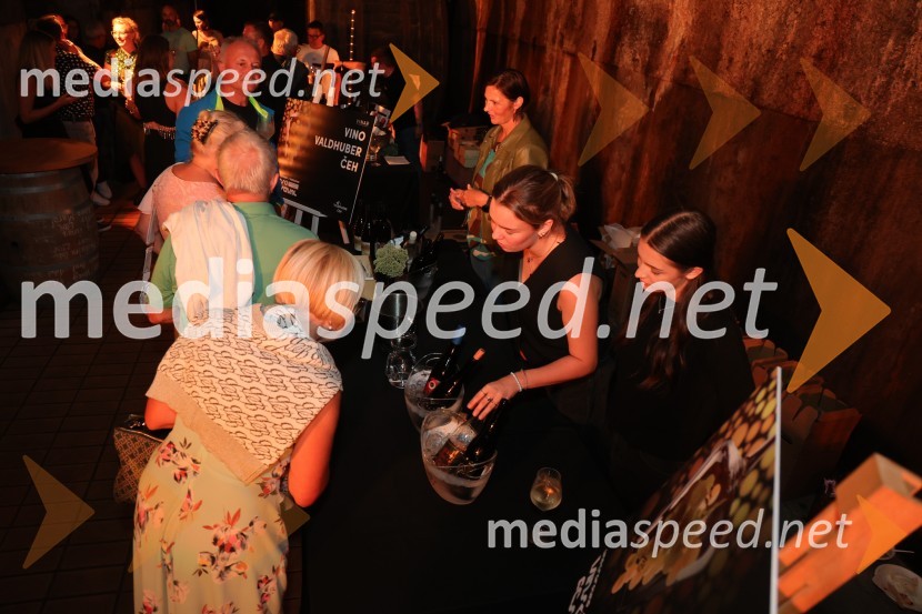 Prvi podzemni vinski festival v Vinagovi kleti