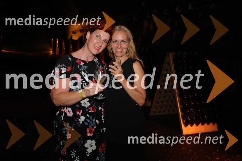 Prvi podzemni vinski festival v Vinagovi kleti