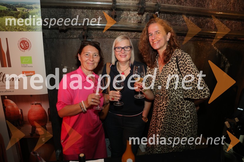 Prvi podzemni vinski festival v Vinagovi kleti