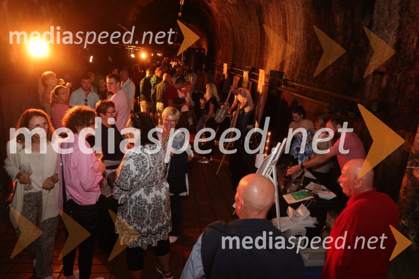 Prvi podzemni vinski festival v Vinagovi kleti