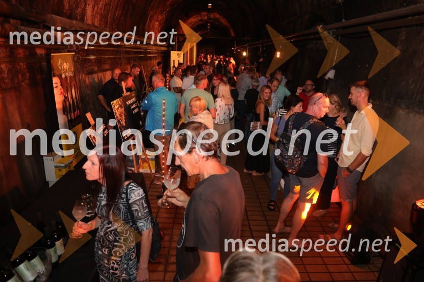 Prvi podzemni vinski festival v Vinagovi kleti