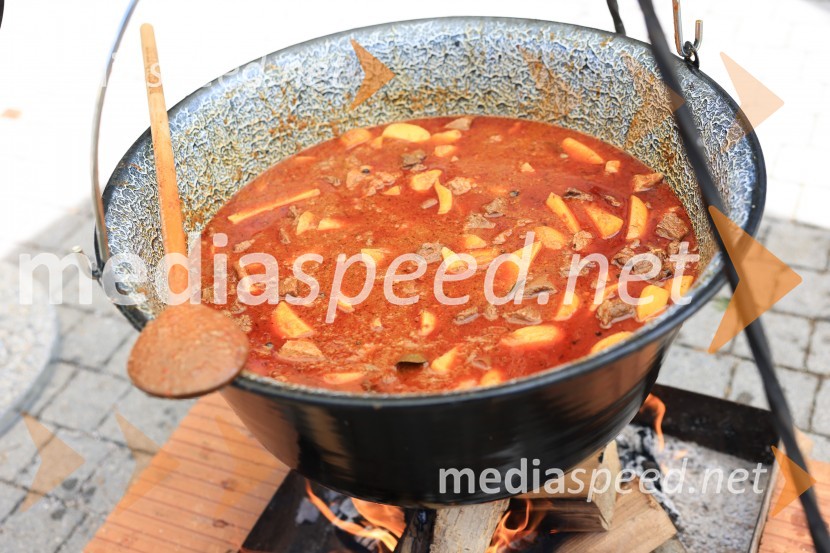 Terme Lendava zmagala na tekmovanju Bogračfest 2024