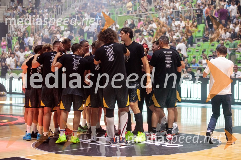 Poslovilna tekma Gorana Dragića v Stožicah