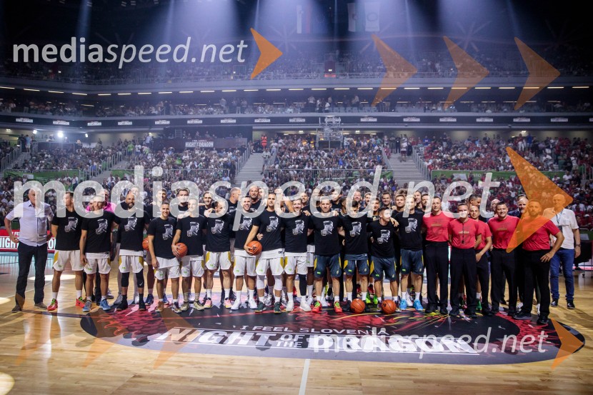 Poslovilna tekma Gorana Dragića v Stožicah