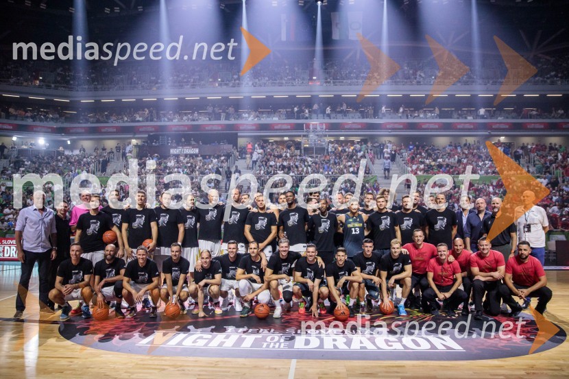 Poslovilna tekma Gorana Dragića v Stožicah