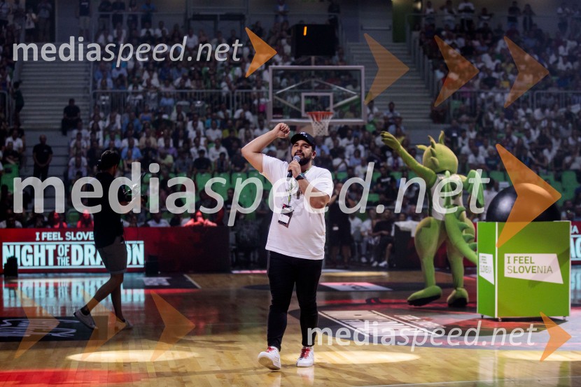 Poslovilna tekma Gorana Dragića v Stožicah