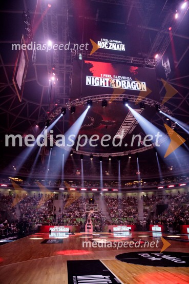 Poslovilna tekma Gorana Dragića v Stožicah