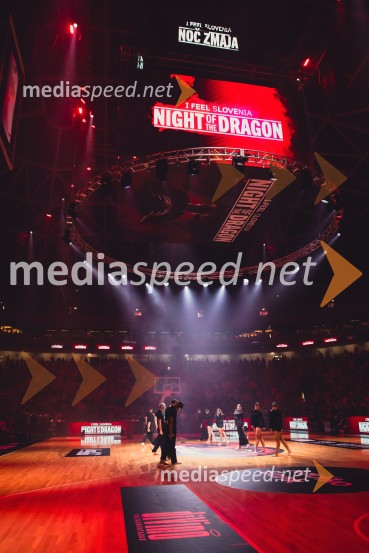 Poslovilna tekma Gorana Dragića v Stožicah