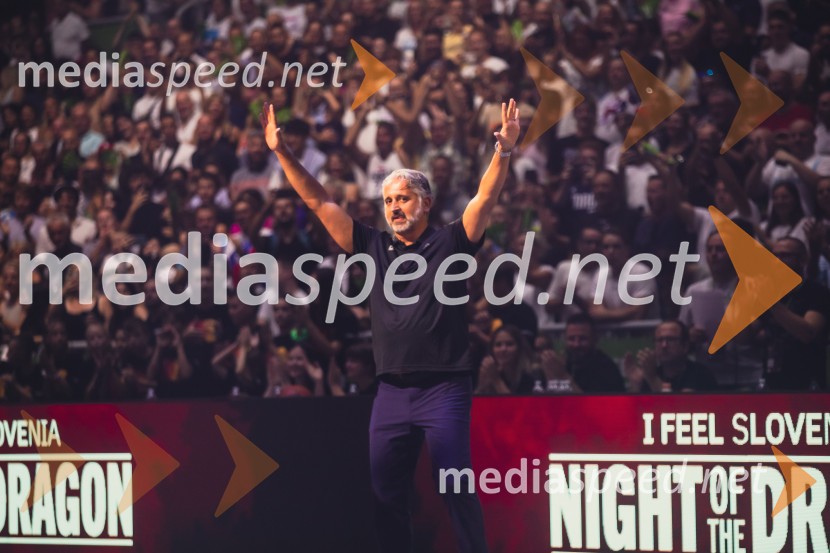 Poslovilna tekma Gorana Dragića v Stožicah