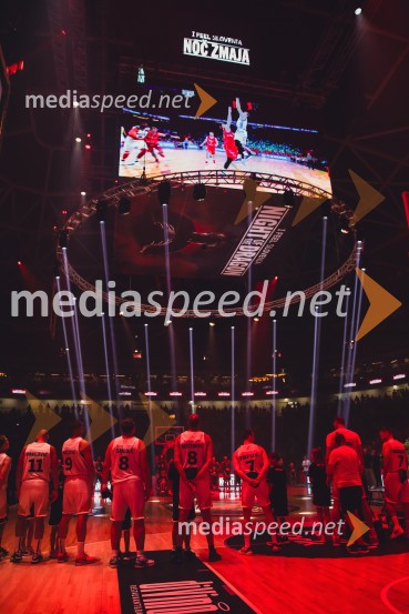 Poslovilna tekma Gorana Dragića v Stožicah