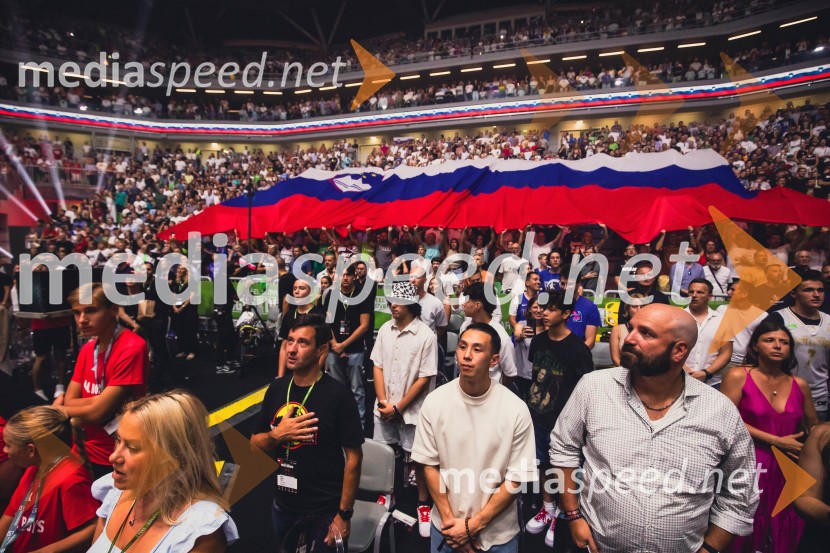 Poslovilna tekma Gorana Dragića v Stožicah