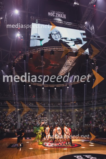 Poslovilna tekma Gorana Dragića v Stožicah