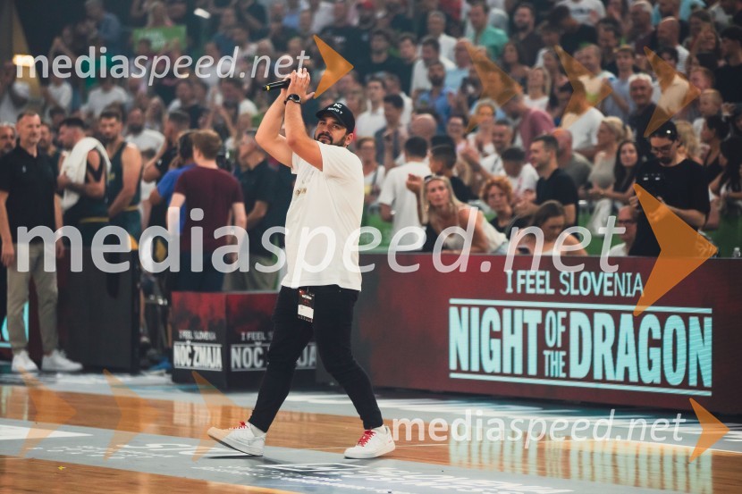 Poslovilna tekma Gorana Dragića v Stožicah