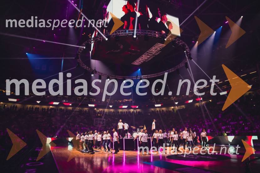 Poslovilna tekma Gorana Dragića v Stožicah