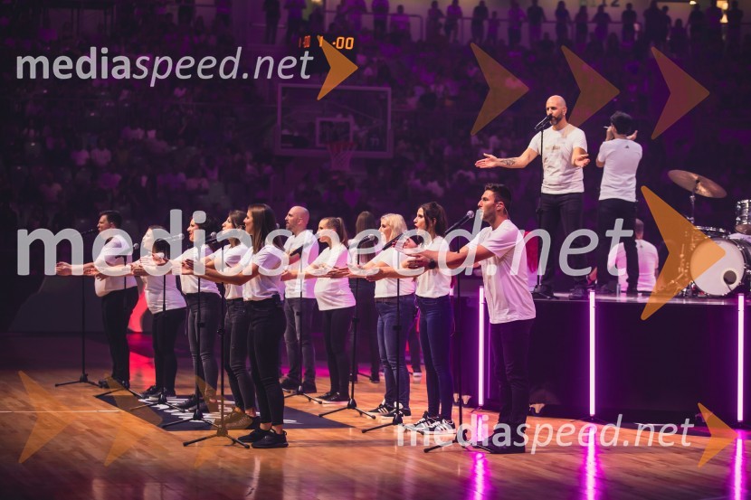 Poslovilna tekma Gorana Dragića v Stožicah