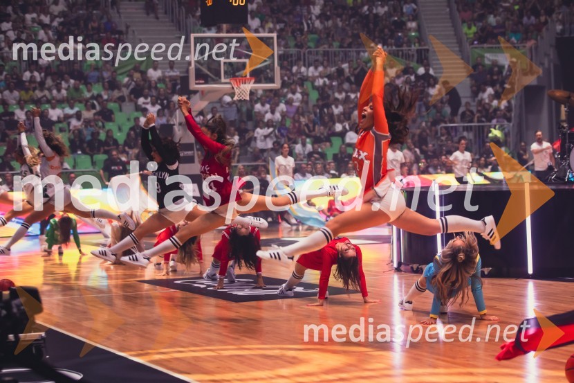 Poslovilna tekma Gorana Dragića v Stožicah