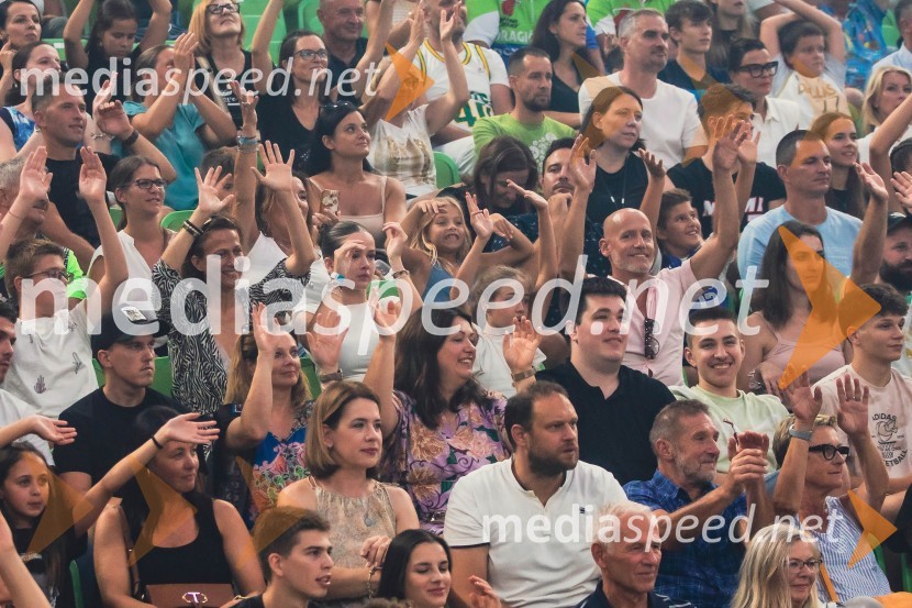 Poslovilna tekma Gorana Dragića v Stožicah