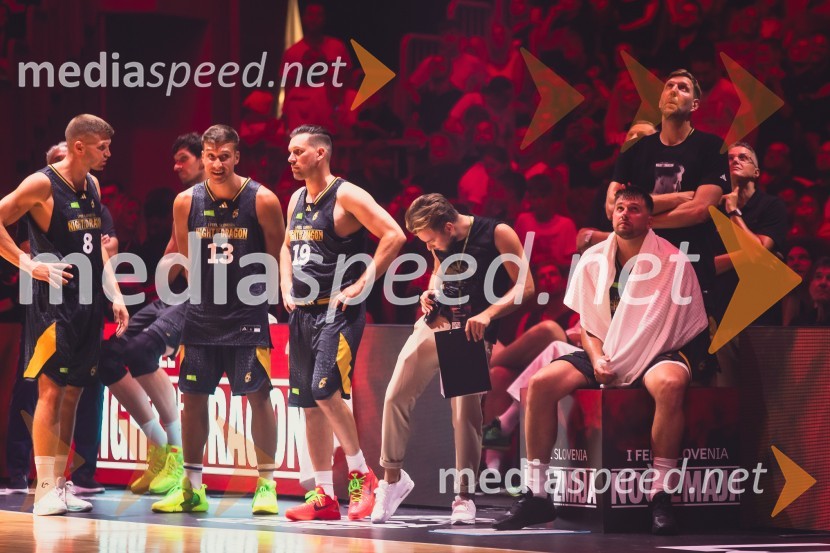 Poslovilna tekma Gorana Dragića v Stožicah