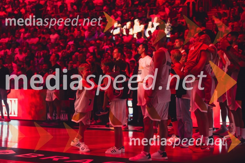 Poslovilna tekma Gorana Dragića v Stožicah